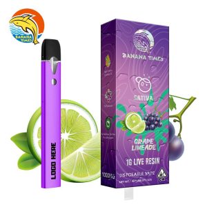 Vaporizer Disposable Vaporizer